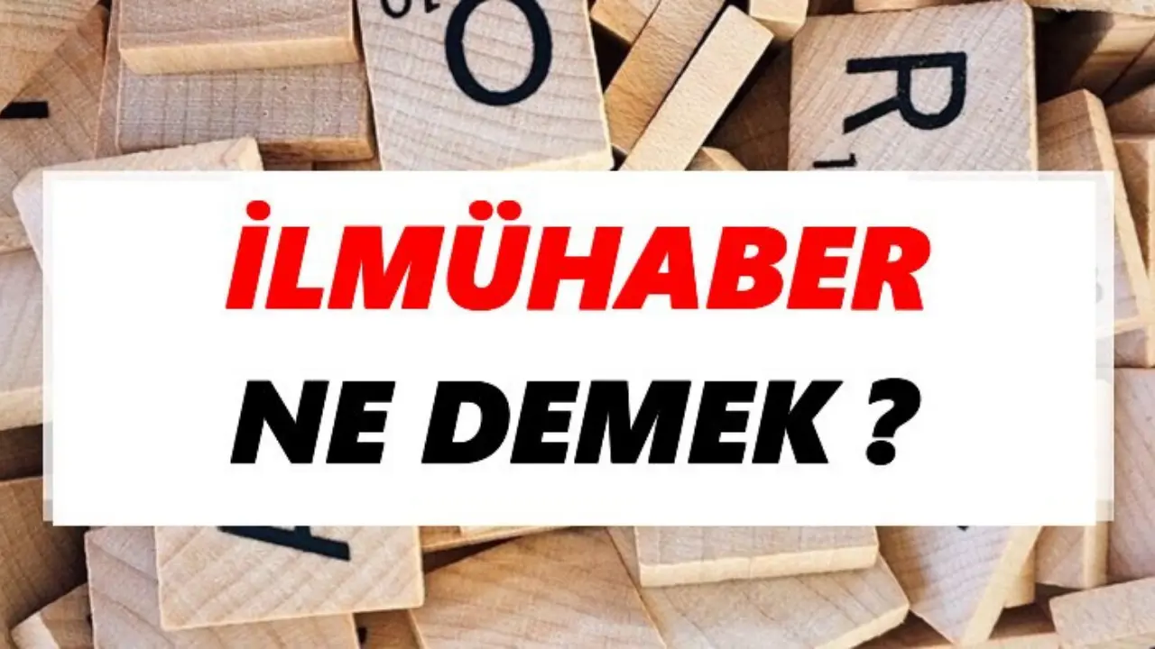 ilmuhaber2.webp