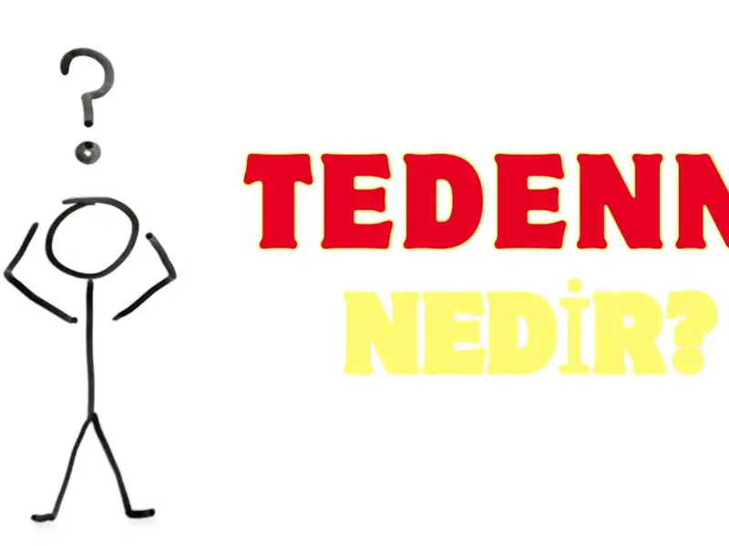 tedenn.webp