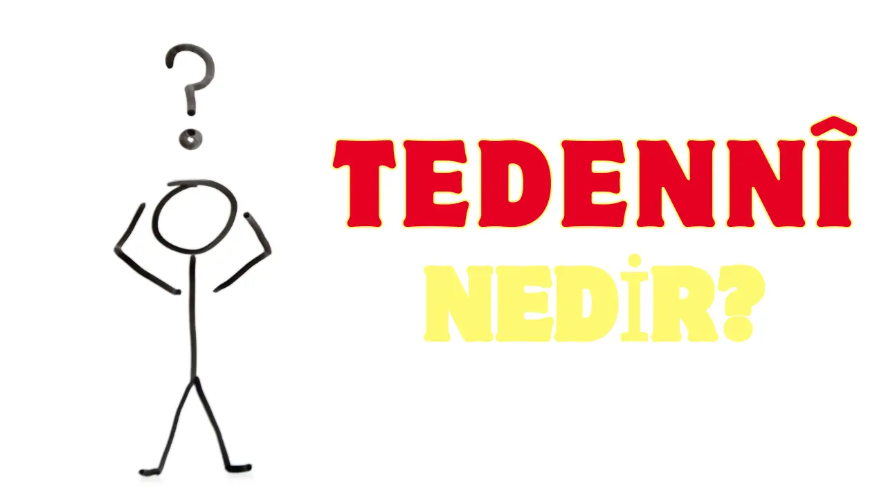 tedenn.webp