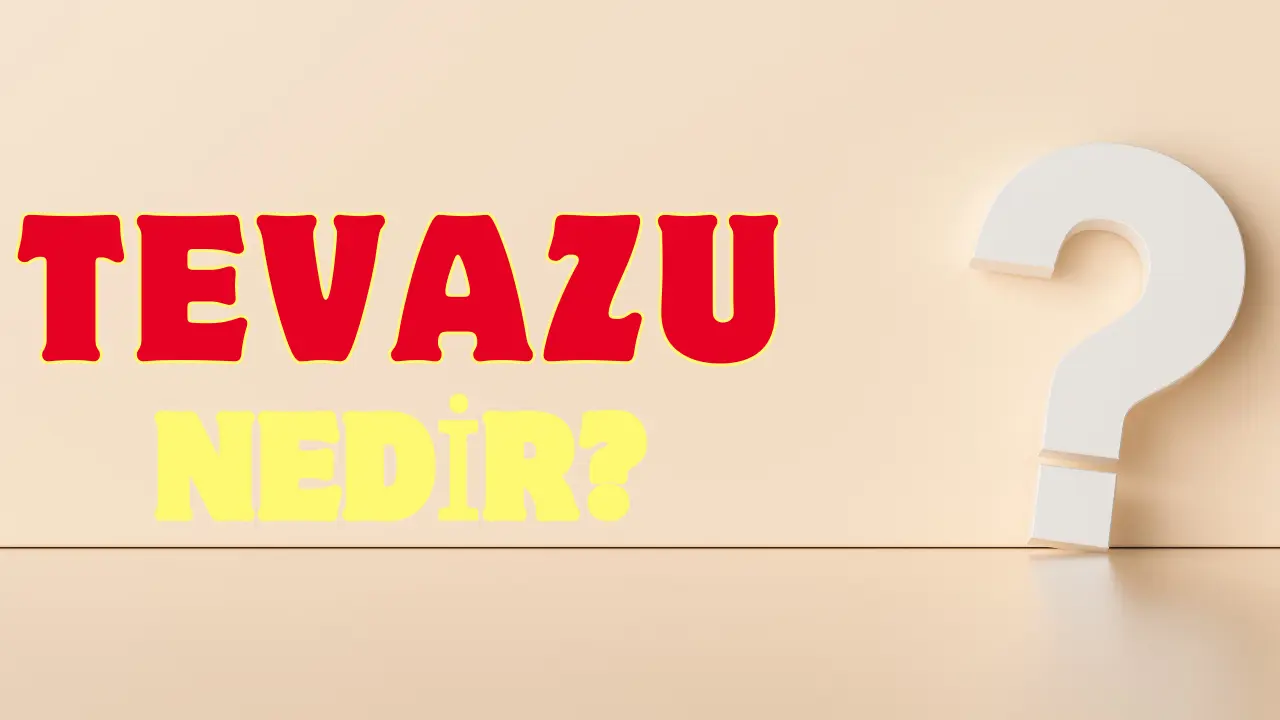 tevazu.webp